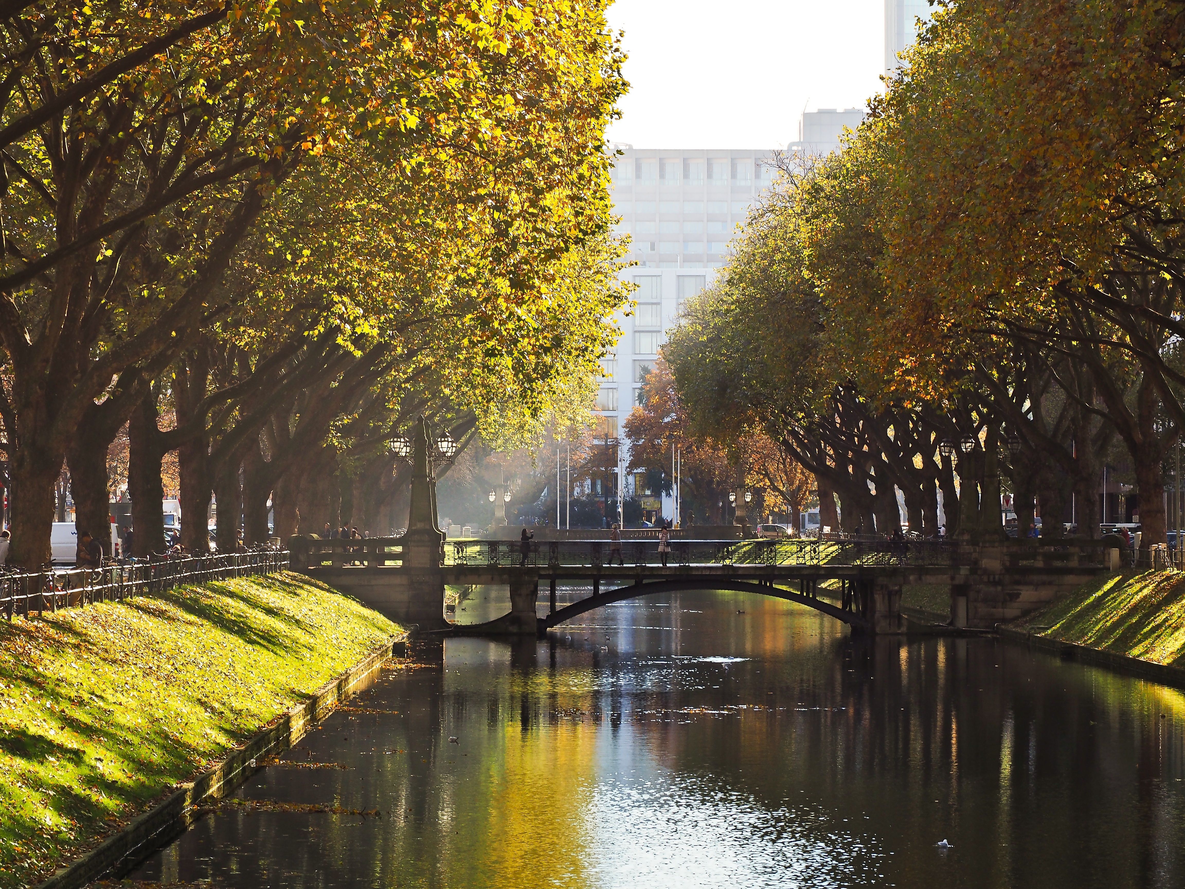 fall-1066104.jpg